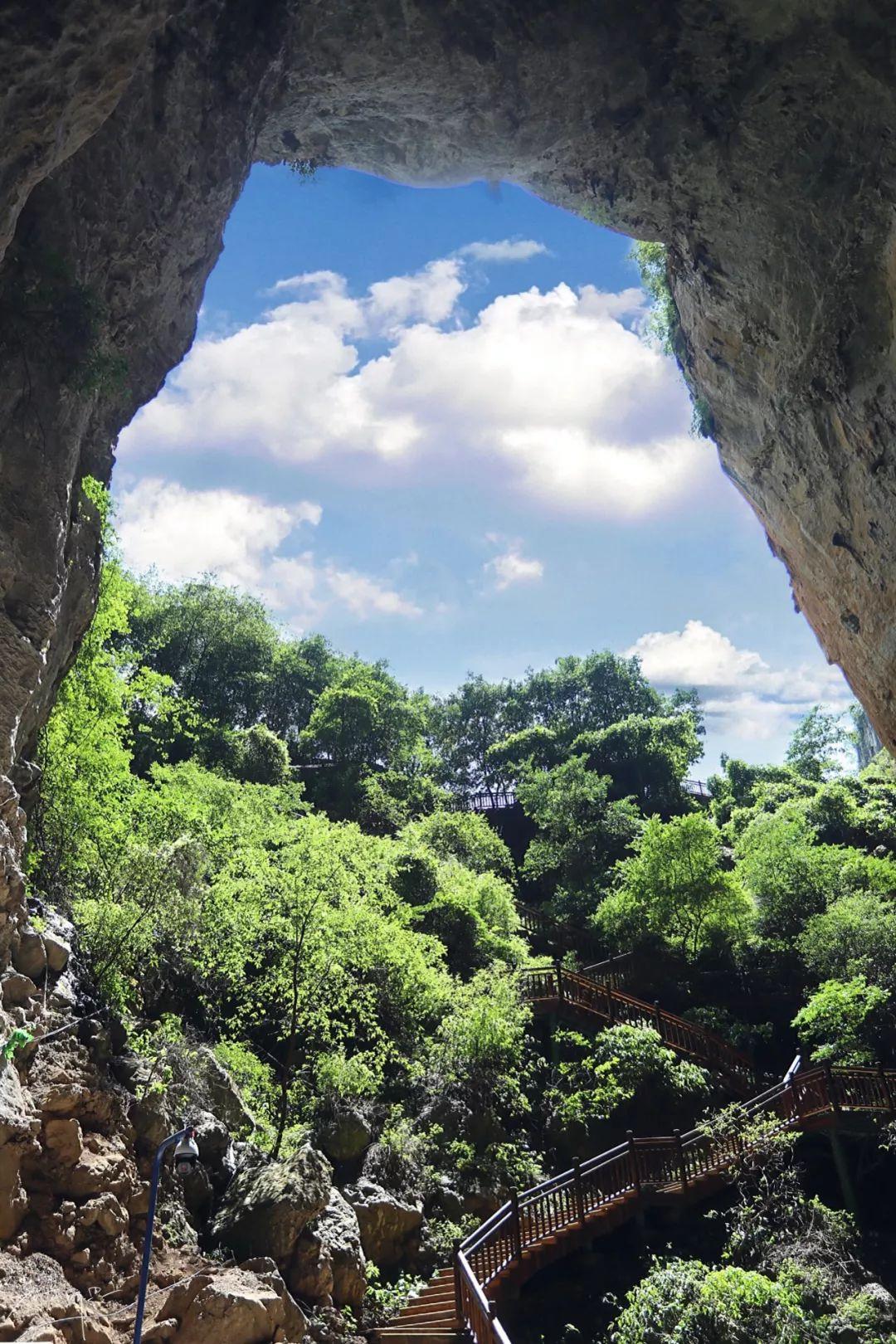 贵州之旅,绿意盎然的旅行日记🍃🏞️