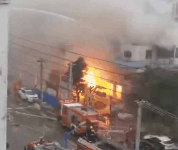 宁夏阳光下的温馨日常