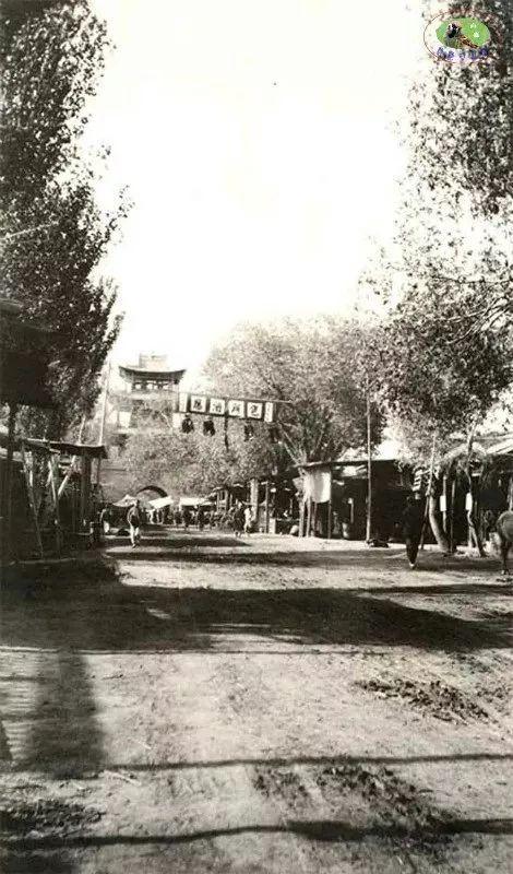 探寻新疆，神秘土地的美丽画卷