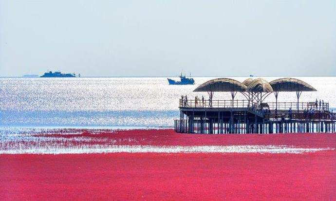 盘锦,美丽土地的魅力与风采